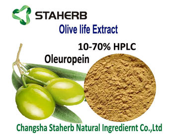 China Oleuropein van het olijfblad Antibacteriële Oleuropein van Installatieuittreksels Poeder 10-70% HPLC van Hydroxytyrosol leverancier
