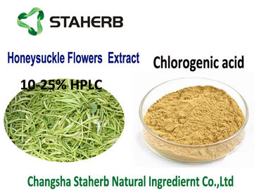 China De in water oplosbare Kamperfoelie bloeit Chlorogenic Zure Poeder 5-25% HPLC CAS 327 97 9 leverancier