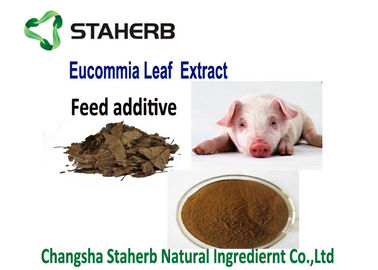 China Voer Bijkomend Chlorogenic Zuur Uittreksel, Ulmoides Oliver Eucommia Extract Powder leverancier