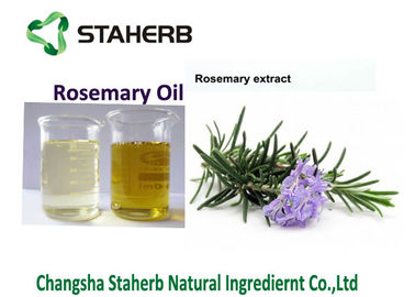 China Rosemary bladuittreksel, Rosemary etherische olie voor Voedsel en cosmetics.100% natuurlijk kruiduittreksel leverancier