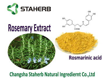China Olie de Oplosbare Rosemary Leaf Powder Lichtgele Extractie van Kleuren Overkritische Co2 leverancier