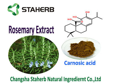 China Rosmarinus Officinalis L Rosemary Leaf Extract, Rosemary Antioxidant Extract leverancier