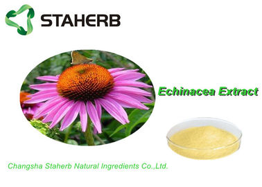 China 100% natuurlijke Standaardreferentiematerialen, het Uittreksel Cichoric Zure 2% van Echinacea Purpurea van de Kruidgeneeskunde leverancier