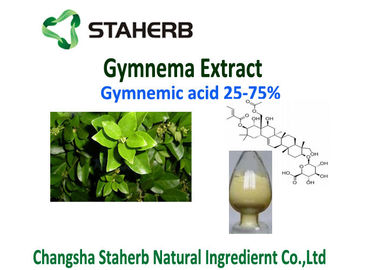 China Gewicht het Verliezen Gymnema Sylvestre Leaf Extract Powder 25% Gymnemic Zuren leverancier