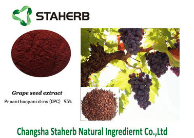 China Van het Uittreksel Standaardreferentiematerialen van het druivenzaad Bevat Polyphenols van Proanthocyanidins leverancier