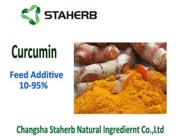 China Additieven van het Grondstoffen Phytogenic Voer, Kurkumacurcumin Poeder 10-95% Zuiverheid leverancier