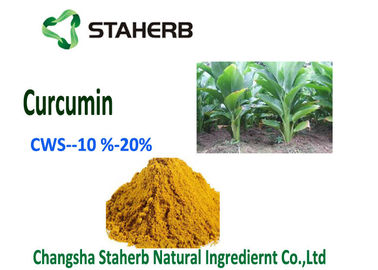 China Natuurlijk Curcumin de Kurkumapoeder CWS van Natuurvoedingadditieven - Curcumin 10% leverancier