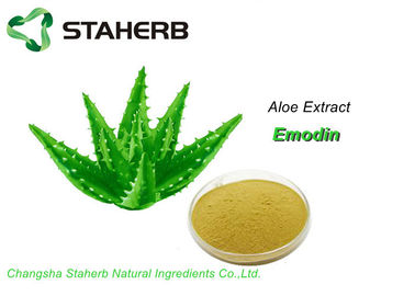 China Antiagingsaloë Vera Leaf Powder Emodin Anti-inflammation voor Schoonheidsmiddel leverancier