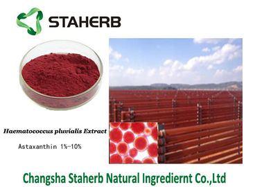China Astaxanthin Anti-oxyderend Dieet het Uittreksel Donkerrood Poeder van Supplementhaematococcus Pluvialis leverancier