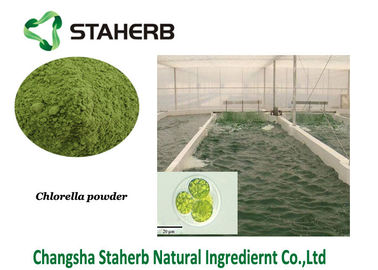 China Poeder van het Poeder Groene Algen van het chlorella het Eiwit Plantaardige Uittreksel leverancier