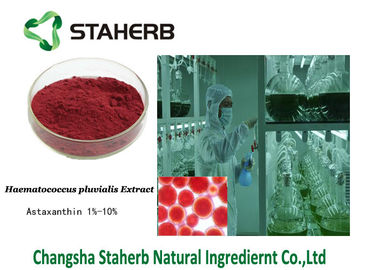 China Astaxanthin 472-61-7 Geconcentreerd pluvialisuittreksel van Haematococcus van het Installatieuittreksel leverancier