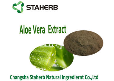 China Antibacterieel en Anti-Inflammatory Natural het Kruiduittreksel Aloin1098% van Aloëvera Extract Aloe Powder leverancier
