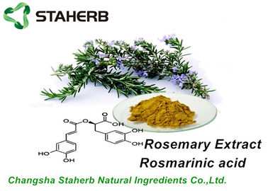 China Anti - Verouderende Organische Rosemary Extract Rosmarinic Acid 5%, 10%, 15% door HPLC leverancier