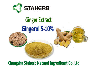 China Gemberuittreksel 5%, 10%, 20%, 50% Gingerol door SCFE CO2 Grondstoffen voor gastro-intestinaal leverancier