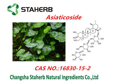 China Centella Asiatica Uittreksel/het Zuivere Natuurlijke Poeder van Asiaticosides van Installatieuittreksels leverancier