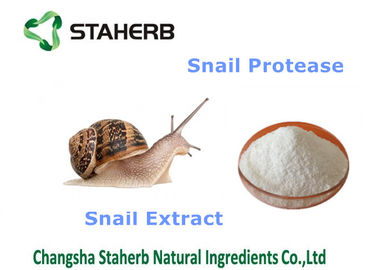 China Natuurlijke de Schoonheidsmiddelen Grondstoffen van het slakuittreksel, Organische Cosmetische ingrediënten leverancier