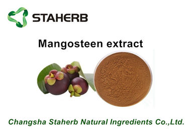 China Het zuivere Natuurlijke Poeder van Mangostin van Mangostan Zuivere Kruidenuittreksels voor Pharma leverancier