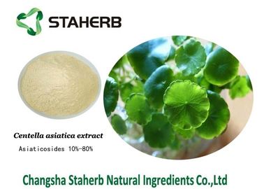China Het Uittreksel Natuurlijke Cosmetische ingrediënten van de Gotukola, de Organische Ingrediënten van de Huidzorg leverancier