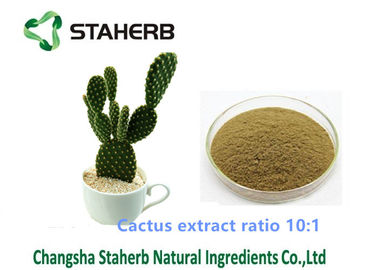 China Van het het Gewichtsverlies van het cactusuittreksel het Poederverhouding 10/1 Oplosbare Extractie voor Kosmetisch Gebied leverancier