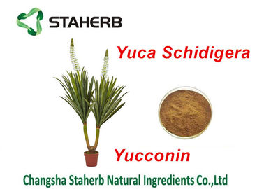China Van het het Uittreksel Natuurlijk Voer van yuccaschidigera van de Additievenyocoin de Yuccapoeder leverancier