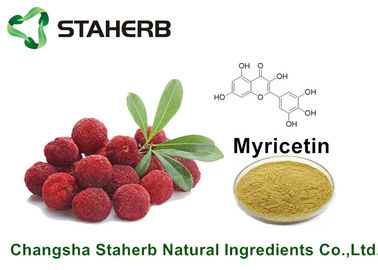 China Van de Installatieuittreksels van de Bayberryschors Zuivere Natuurlijke Myricetin 98% voor Gezondheidsproduct door HPLC leverancier