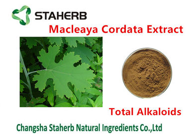 China Antibacteriële het Uittreksel Totale Alkaloïde 20%-60% van Installatiemacleaya Cordata Bruine Kleur leverancier