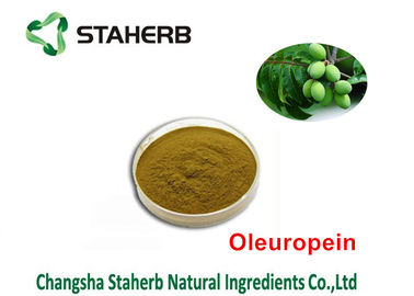 China Oleuropein 40% - de Natuurlijke Groene Uittreksels van 80%, die Chemische producten halen uit Installaties leverancier
