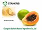 Het Poeder van het papajauittreksel, Ontwaterd Fruitpoeder, Goed voor Milt, Additief voor levensmiddelen, Drank leverancier
