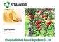 Het droge Organische Apple-Uittrekselpoeder bevat Polyphenols/Lager Kankerrisico van Phloretin leverancier