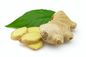 Gemberuittreksel 5%, 10%, 20%, 50% Gingerol door SCFE CO2 Grondstoffen voor gastro-intestinaal leverancier