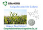 Organische/Krachtige van Anti-oxyderende Gallate 50-98% Supplementenepigallocatechin leverancier