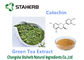 Groen het Supplementcatechin 50-98% van het Theeuittreksel Anti-oxyderend Dieetpoeder leverancier