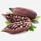 Het natuurlijke van het het Poedervoedsel van het Cacaouittreksel Ontwaterde Fruit Poeder van de de Rang Alkalized Cacao leverancier