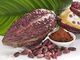 Het natuurlijke van het het Poedervoedsel van het Cacaouittreksel Ontwaterde Fruit Poeder van de de Rang Alkalized Cacao leverancier
