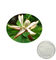 de natuurlijke installatie haalt het uittreksel magnolol+honokiol van de magnoliaschors voor medische toepassingen leverancier