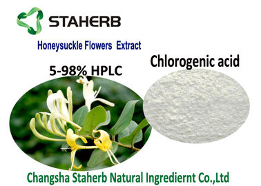 China Organische Natuurlijke Cosmetische ingrediënten, het Uittreksel Chlorogenic Zuur 5-98% CAS van de Kamperfoeliebloem 327 97 9 leverancier