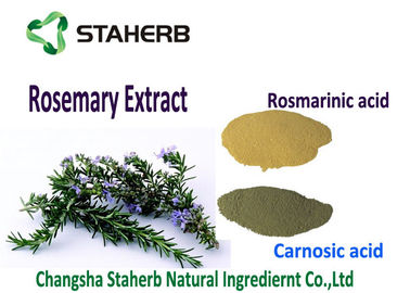 China Lichtbruin Poeder Rosemary Leaf Extract, Organische Rosemary Extract Kill Vrije Basissen leverancier
