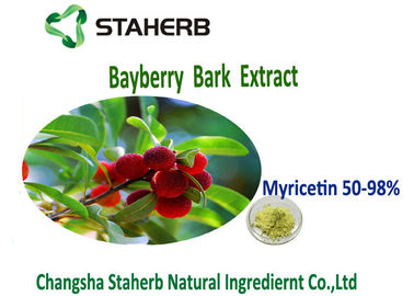 China Van het de Schorspoeder van antioxidatiebayberry van de het Uittreksel Geelgroene Kleur Myricetin 50%-98% leverancier