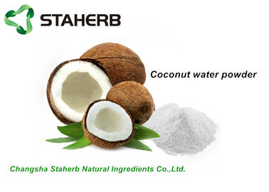 China Organisch Ontwaterd Fruitpoeder, het Witte Poeder van het Kokosnotenwater voor Drank/Voedsel leverancier