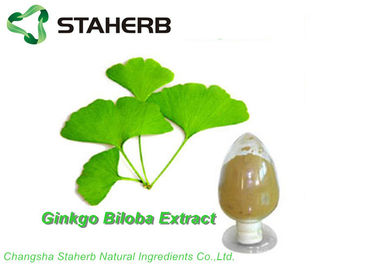 China Anti-oxyderende Organische van het het Bladuittreksel GBE 24% van Ginkgo Biloba Flavone 6% Lactone door HPLC leverancier