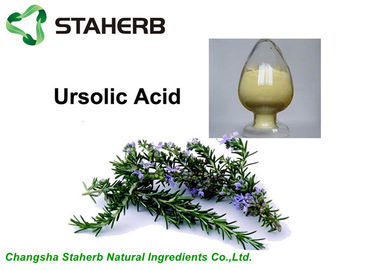 China Rosemary Extract Natural Cosmetische ingrediënten, Zure het Poeder Bruine Kleur van Ursolic leverancier