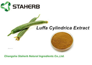 China Kruid Natuurlijke Cosmetische ingrediënten, van de Luffacylindrica van Schoonheidsmiddelen Grondstoffen het Uittreksel10:1 leverancier