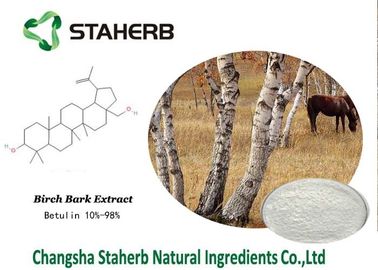 China Organische de Make-upingrediënten van het Berkeschorsuittreksel, Natuurlijke Schoonheidsingrediënten leverancier