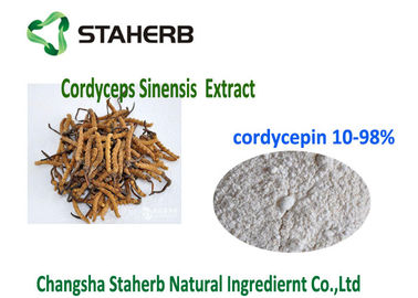 10- Natuurlijk Organisch Cordyceps het Uittrekselpoeder CAS 73 03 van 98% Cordycepin 0 leverancier