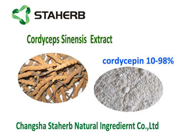 10- Natuurlijk Organisch Cordyceps het Uittrekselpoeder CAS 73 03 van 98% Cordycepin 0 leverancier