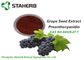 Van anti-oxyderende het Organische van het de Druivenzaad Make-upingrediënten Uittreksel Portlandcement 95% CAS 84929 27 1 leverancier