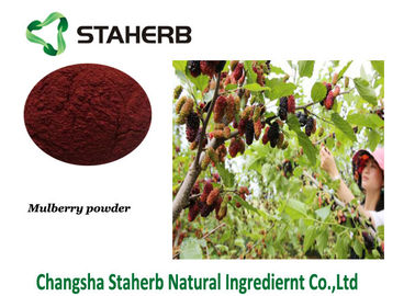 Anthocyanin het Anti-oxyderende Dieetsupplement Ontwaterde Poeder van het Moerbeiboomfruit leverancier