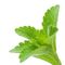 De Additieven van de zoetmiddelnatuurvoeding, Stevia-het Poeder90% 97% 98% Ra van het Bladuittreksel/Stevioside leverancier