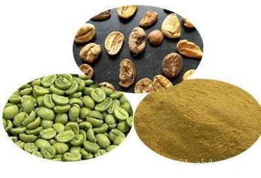 Antibacterieel van de Anti-oxyderende Groen het Uittreksel Chlorogenic Zuur 50% verloren gewicht Koffieboon leverancier
