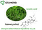 Antioxdentrosemary Leaf Extract Ursolic Acid Poeder voor Cusmetic-Product leverancier